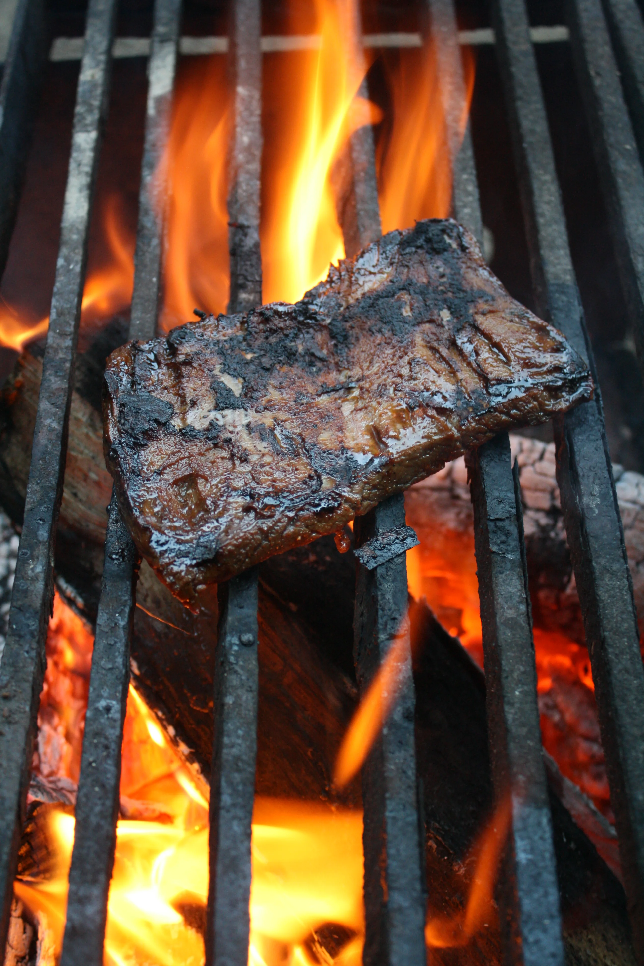 Campfire Skirt Steak and Potatoes