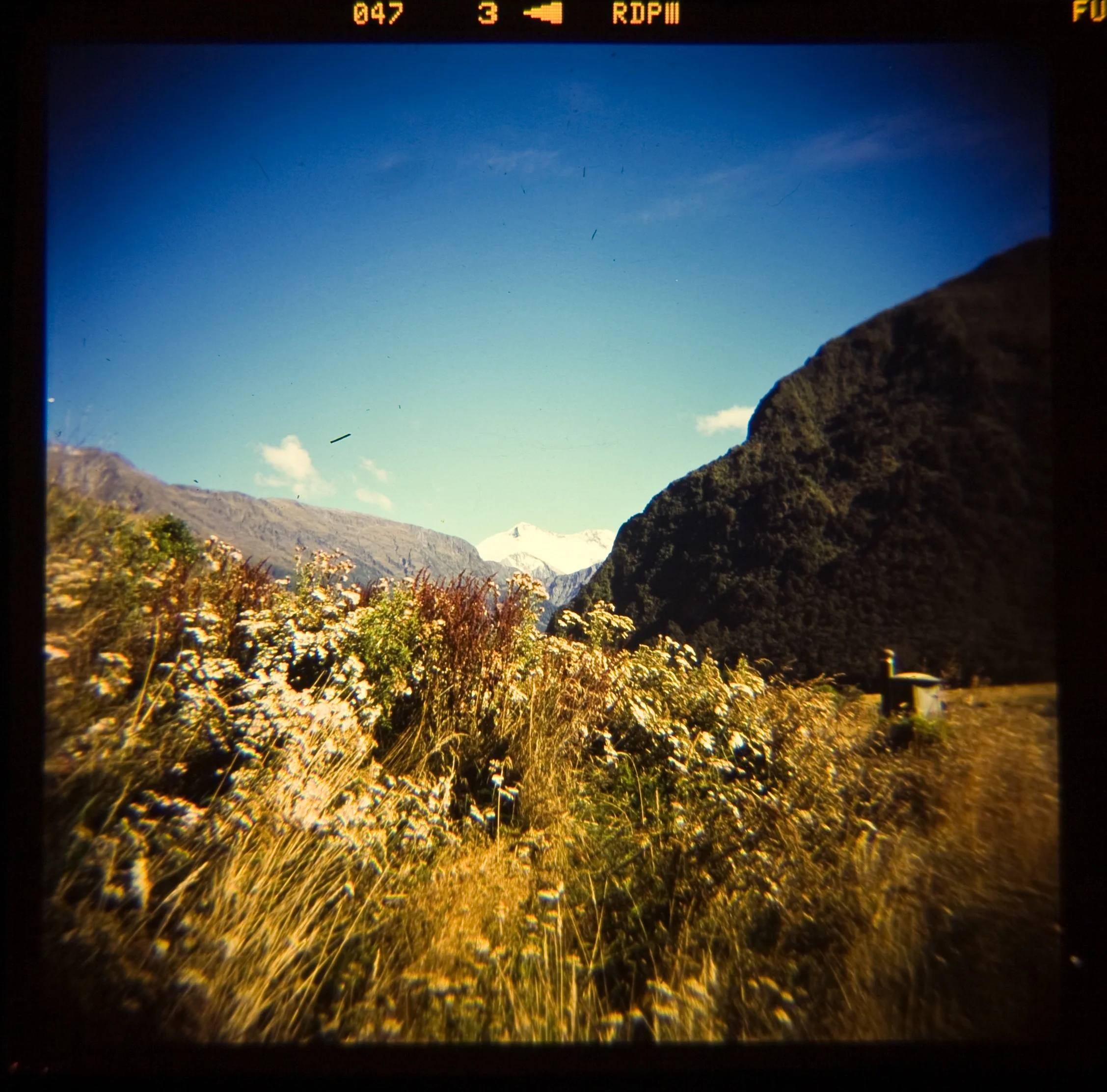 Holga 009.jpg