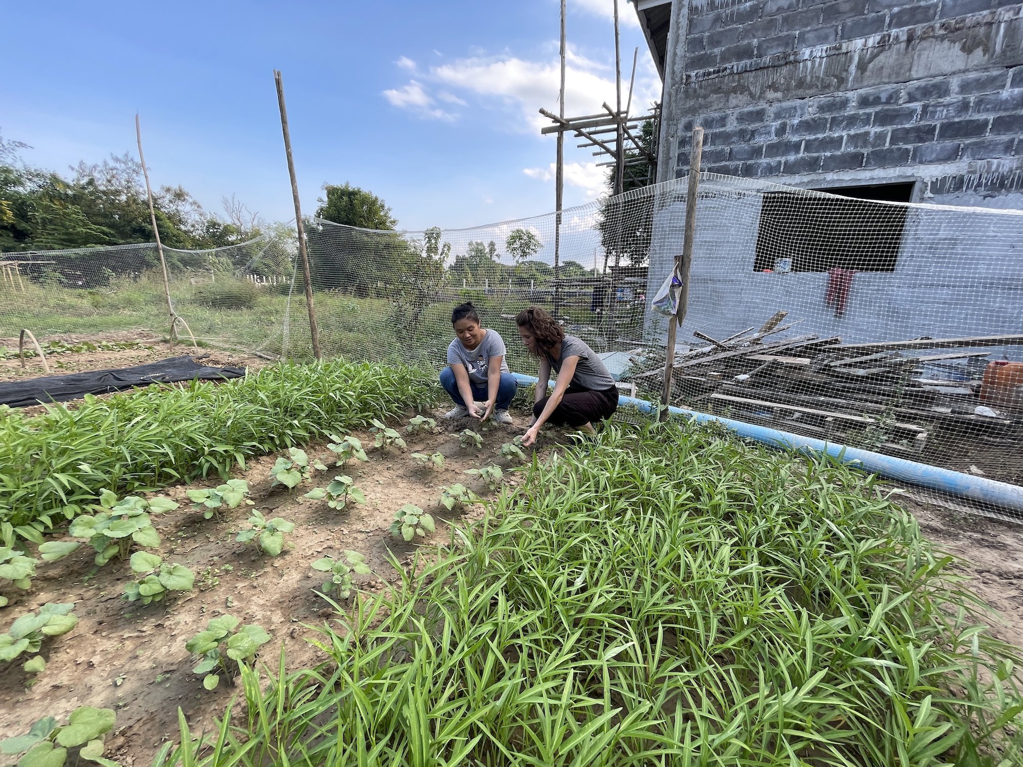 Creating Sustainability