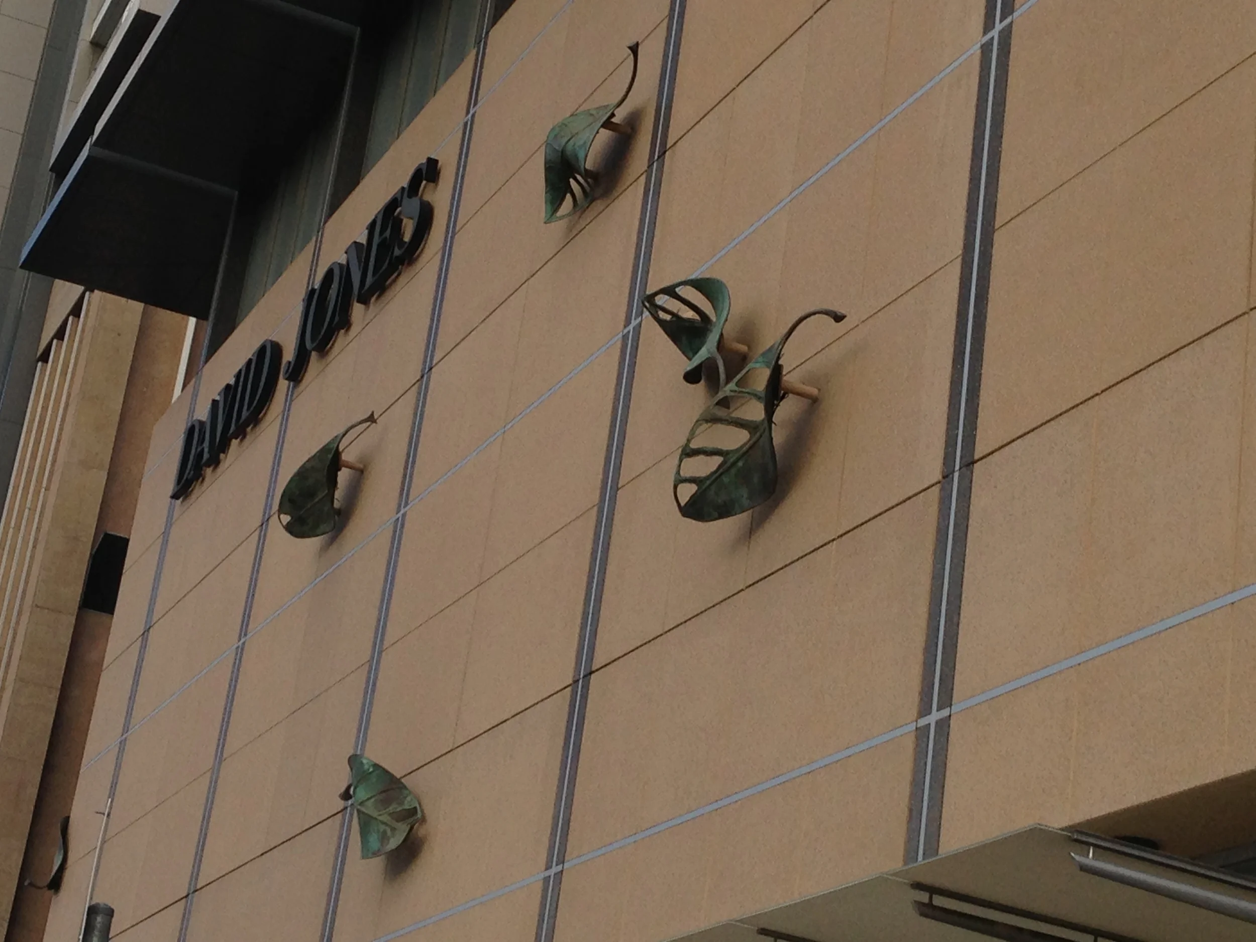 Catherine Truman's autumn leaves or  Way of Seeing  on North Tce.