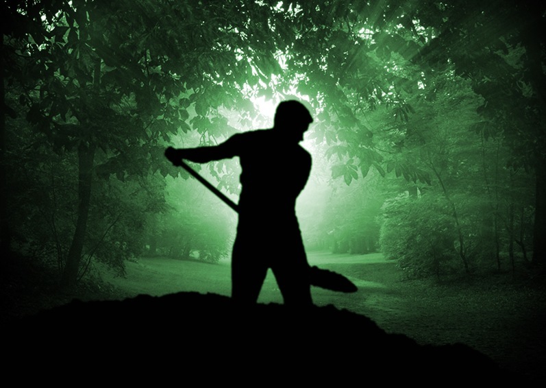 Festival's spooky promotional image. 