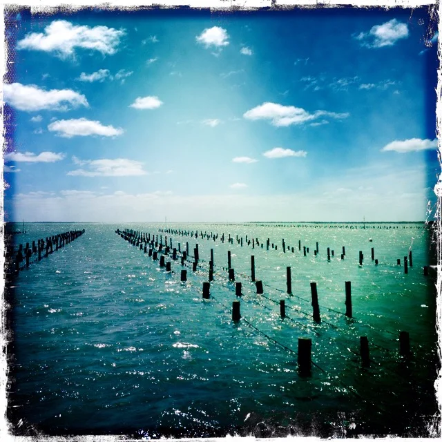 Oyster farm, Franklin Harbour, Cowell, South Australia