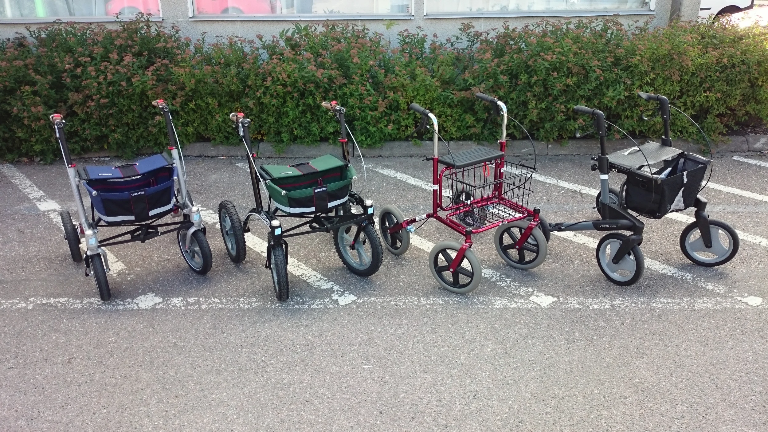 Die Kontrahenten im explorativen Vergleichstest: Die neuen Trionic-Rollatoren (Radgrössen 12 bzw. 14 Zoll) in blau und grün, das in Schweden weit verbreitete rote Kassenmodell Carl Oscar von Human Care und der bewährte herkömmliche Topro Olympos in schwarz.