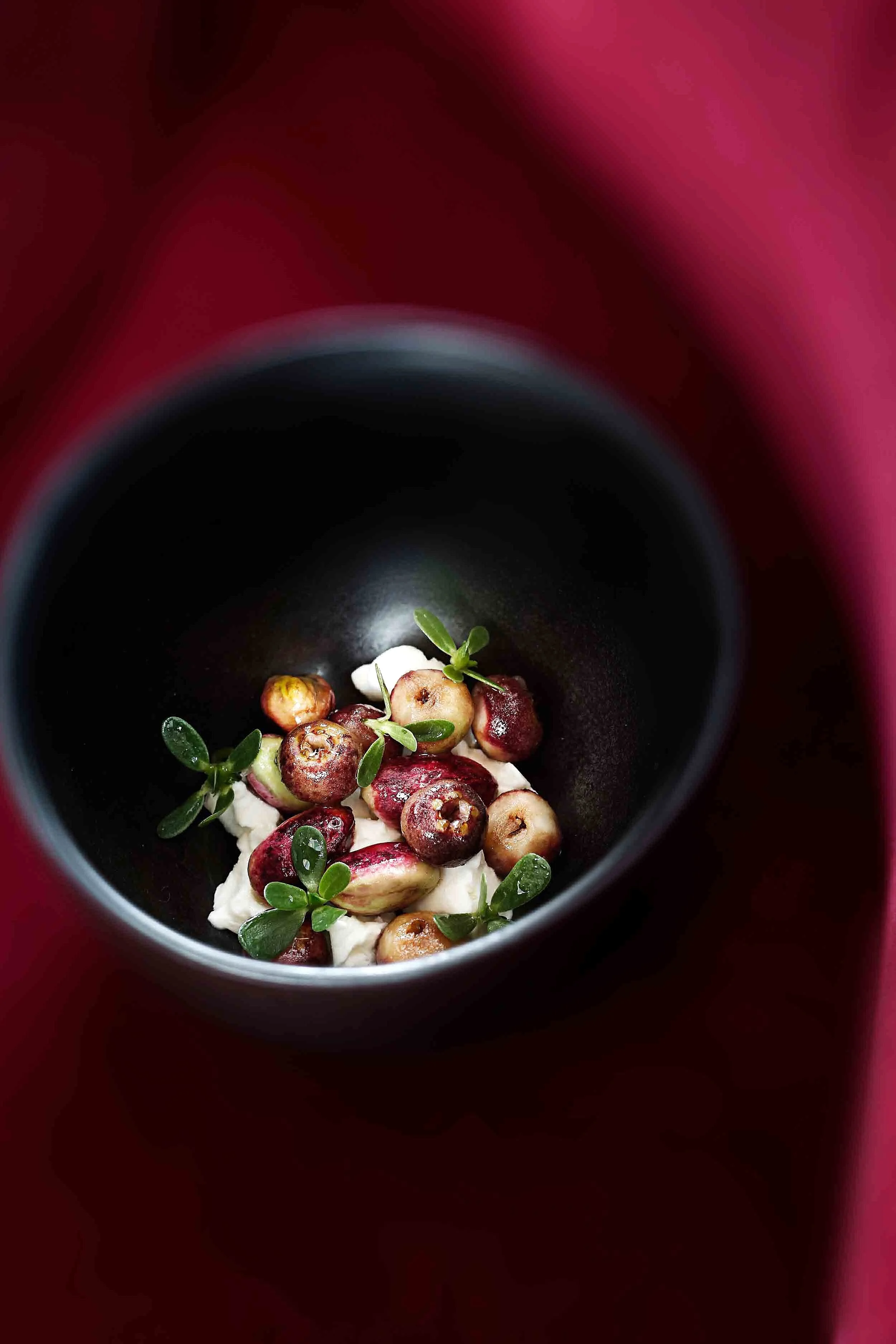 quay,  restaurant, peter gilmore, sydney, australien