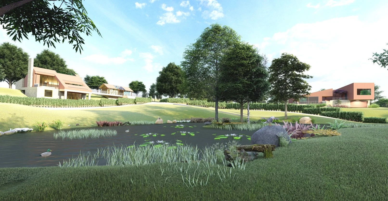 Pond View.jpg