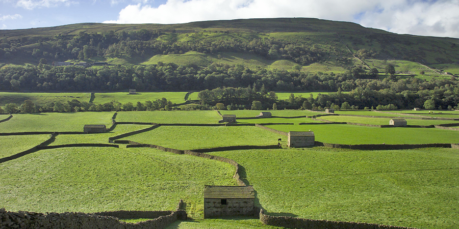 The Yorkshire Dales