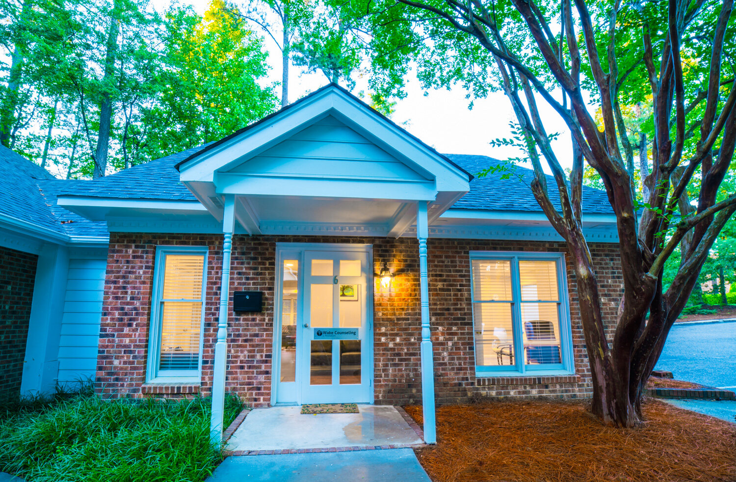 mental Health Cary NC.jpg