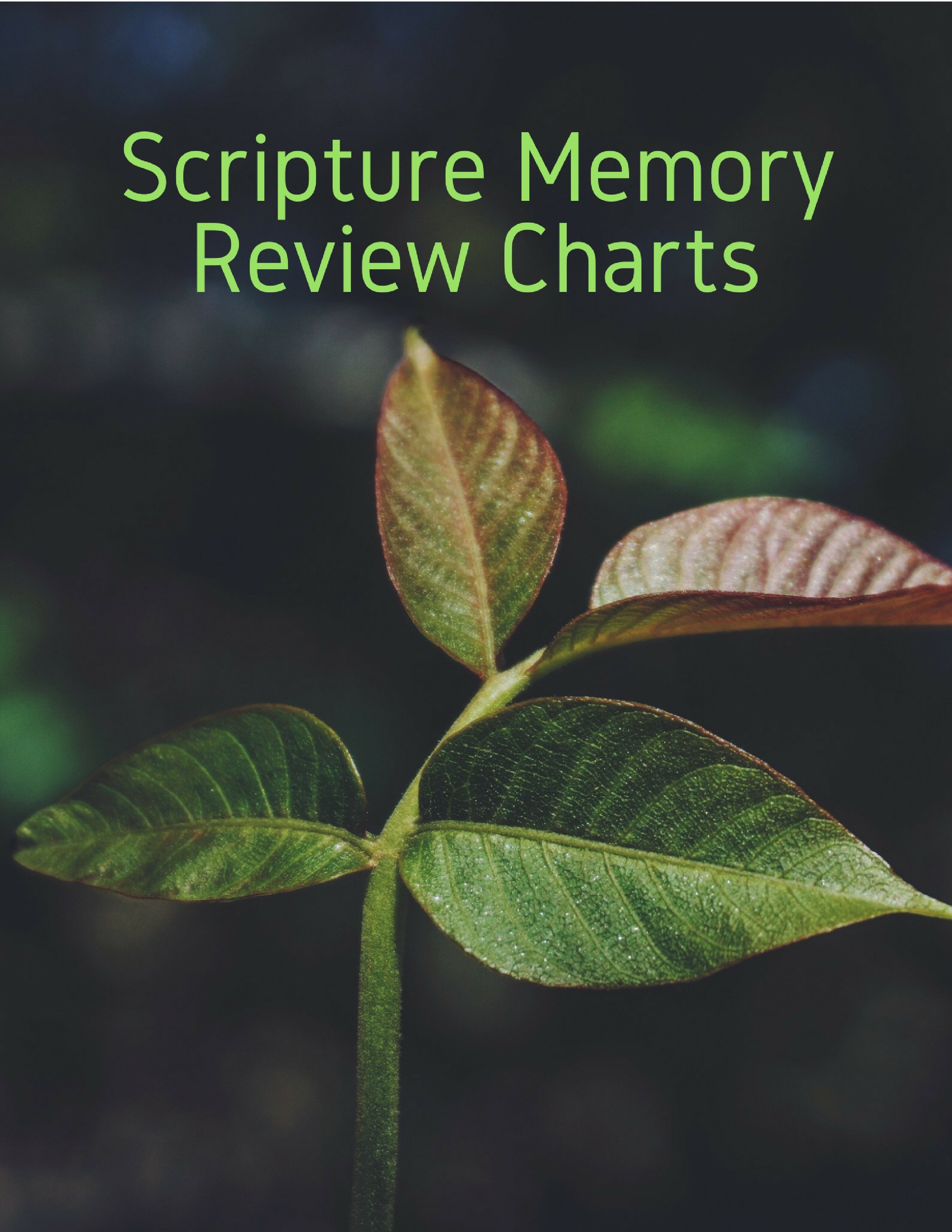Scripture Memory.jpg