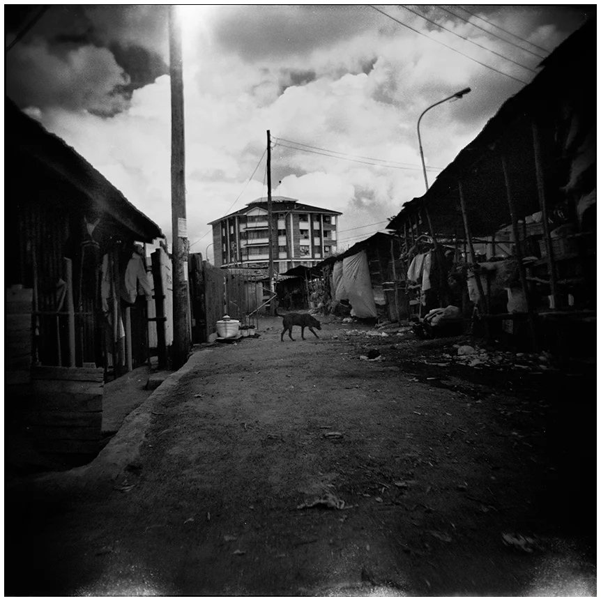 03-KYA-Ebrahim.Mirmalek.jpg