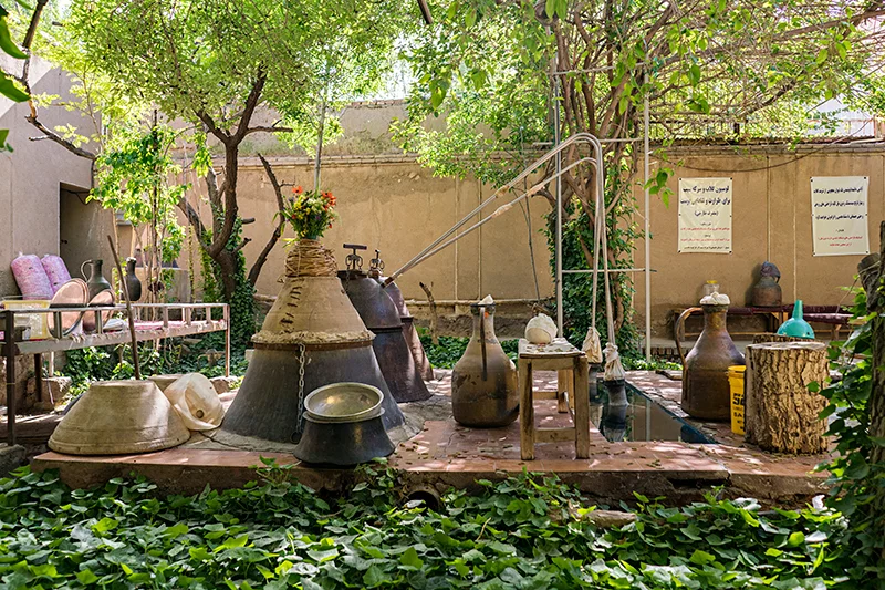 Rosewater_Ebrahim.Mirmalek_9.jpg