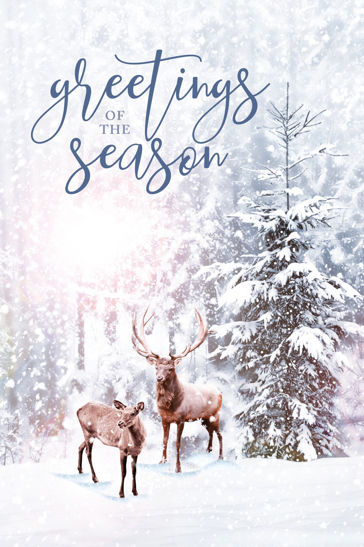 HOLIDAY GREETING CARDS