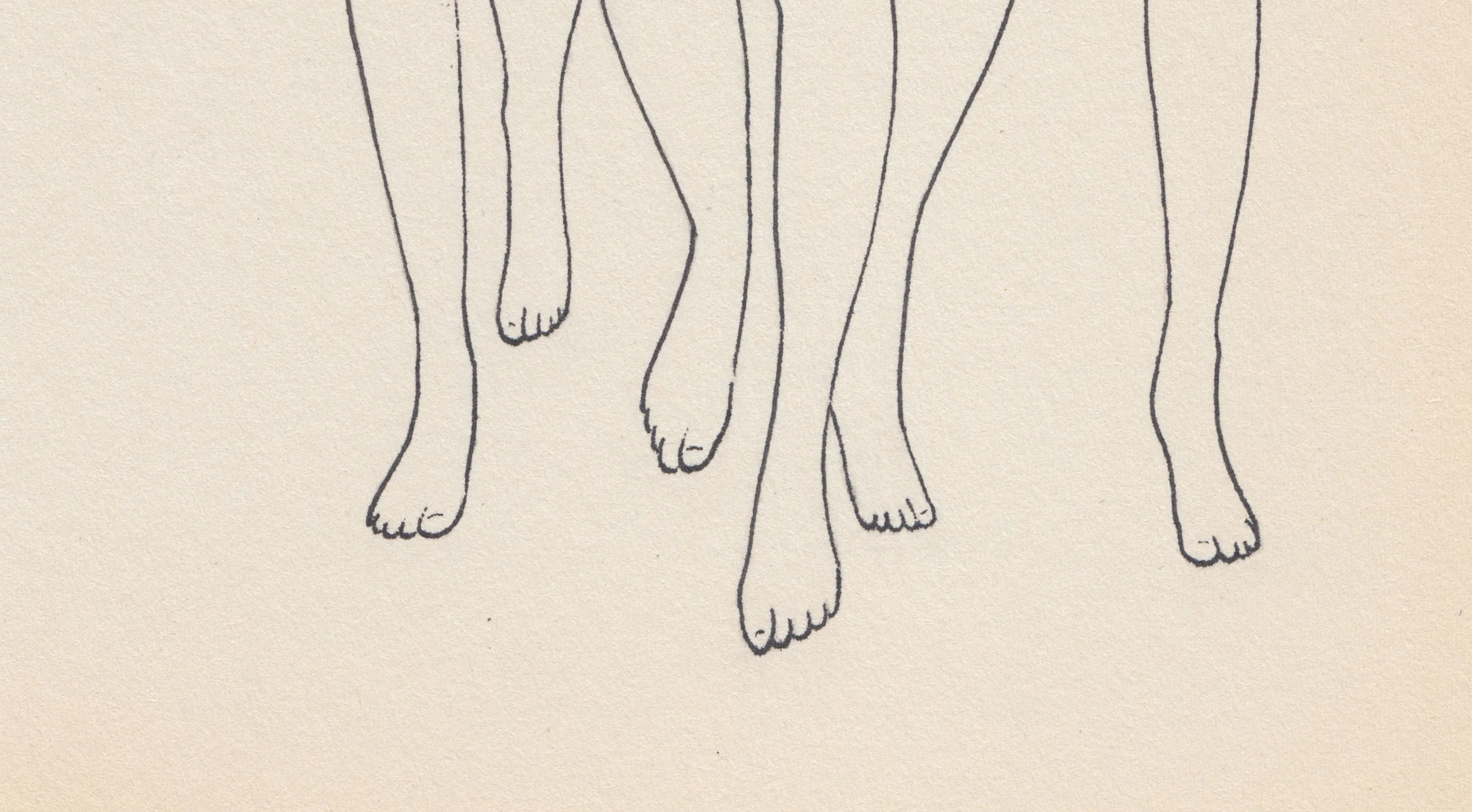 temporary-splash-page-7.jpg