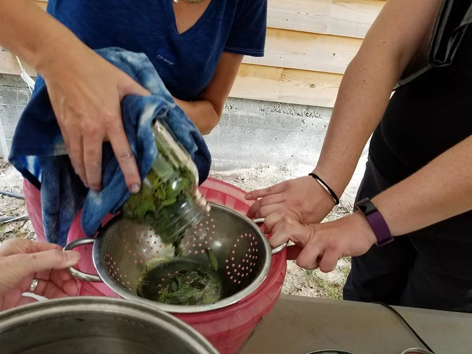 Indigo Farm-to-Fabric Workshop