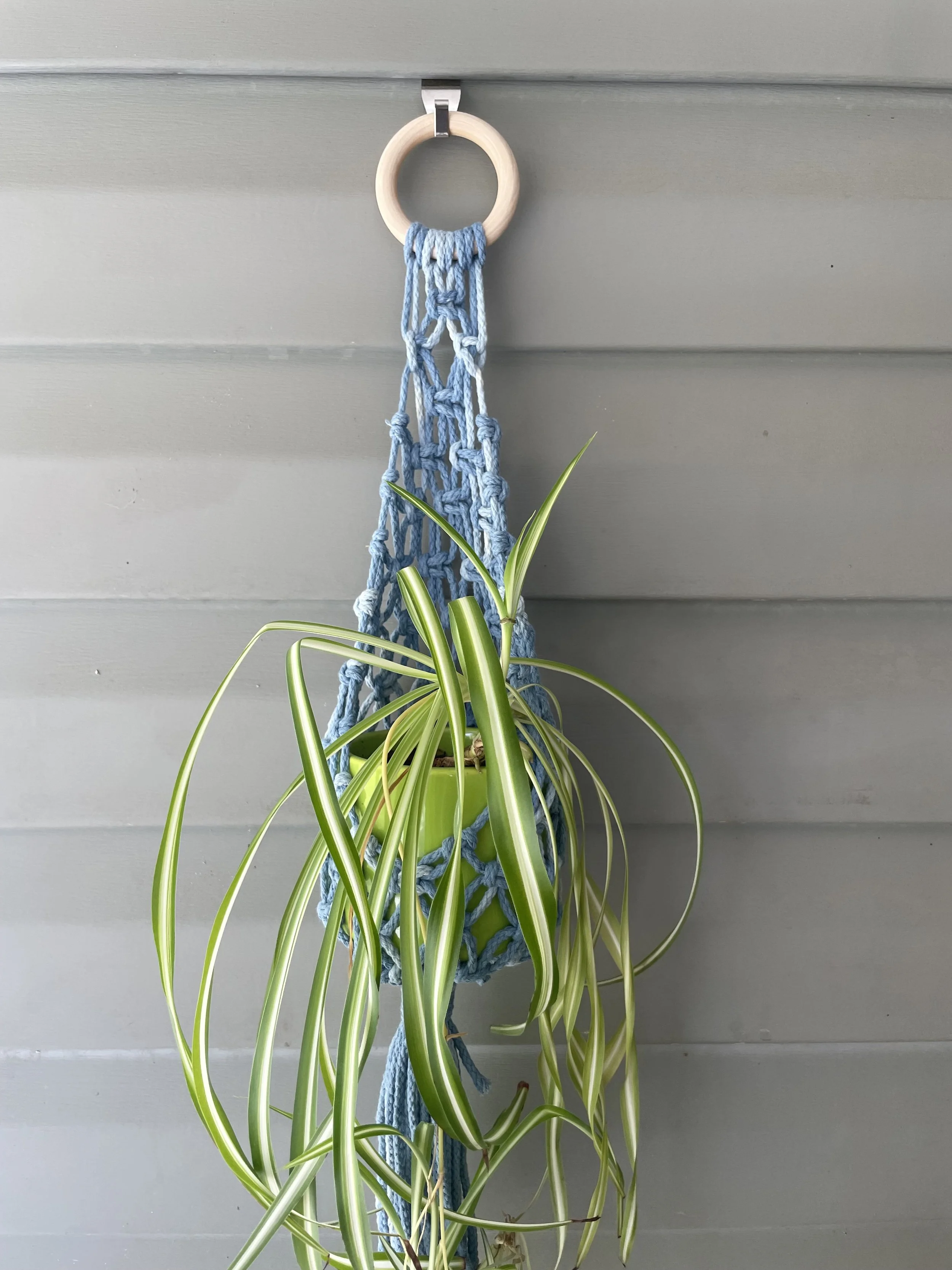 Sea Indigo Plant Hanger