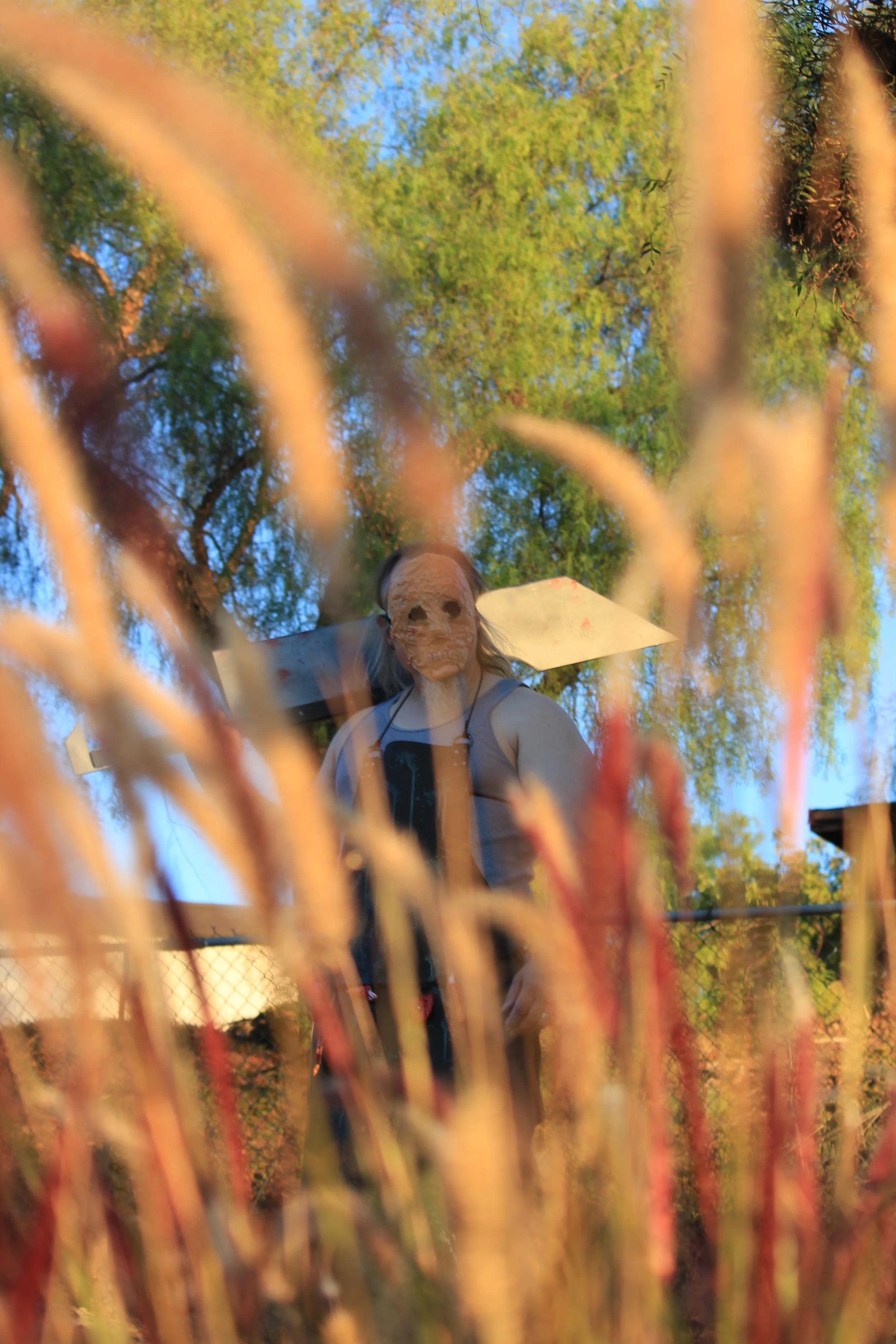 through the hedges