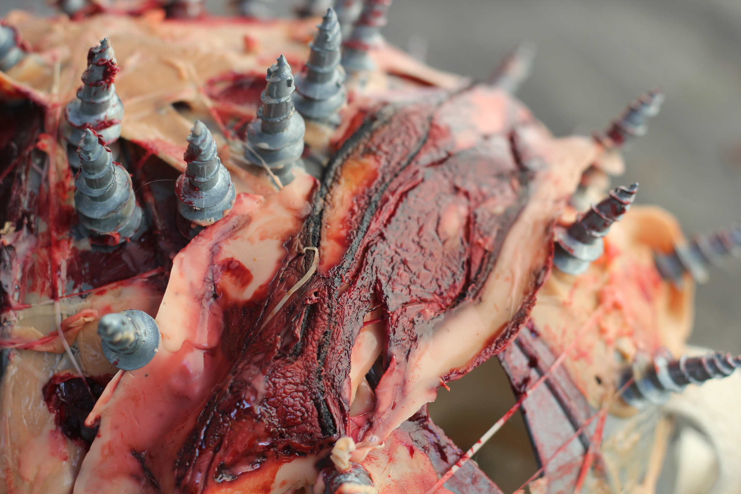 Mask (latex, cinema secrets blood, leather &screws)