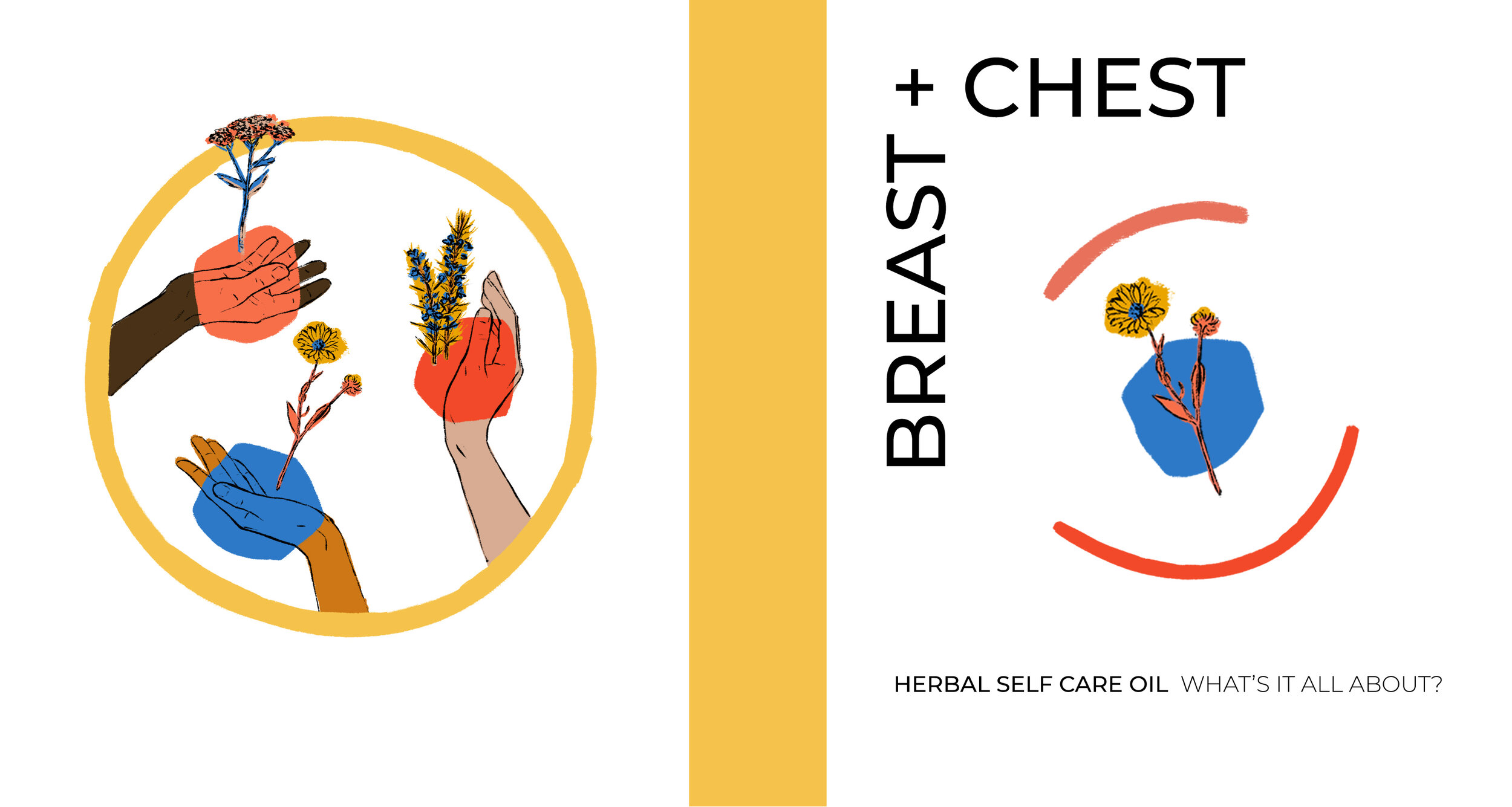  Selected excerpts from Heron’s BREAST + CHEST zine to accompany the herbal lymphatic massage oil 