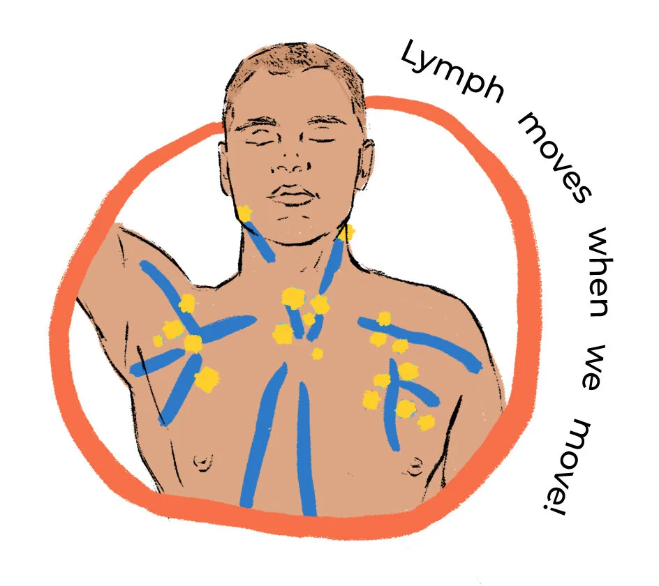 2B_Breast&Chest_LYMPH1.jpg