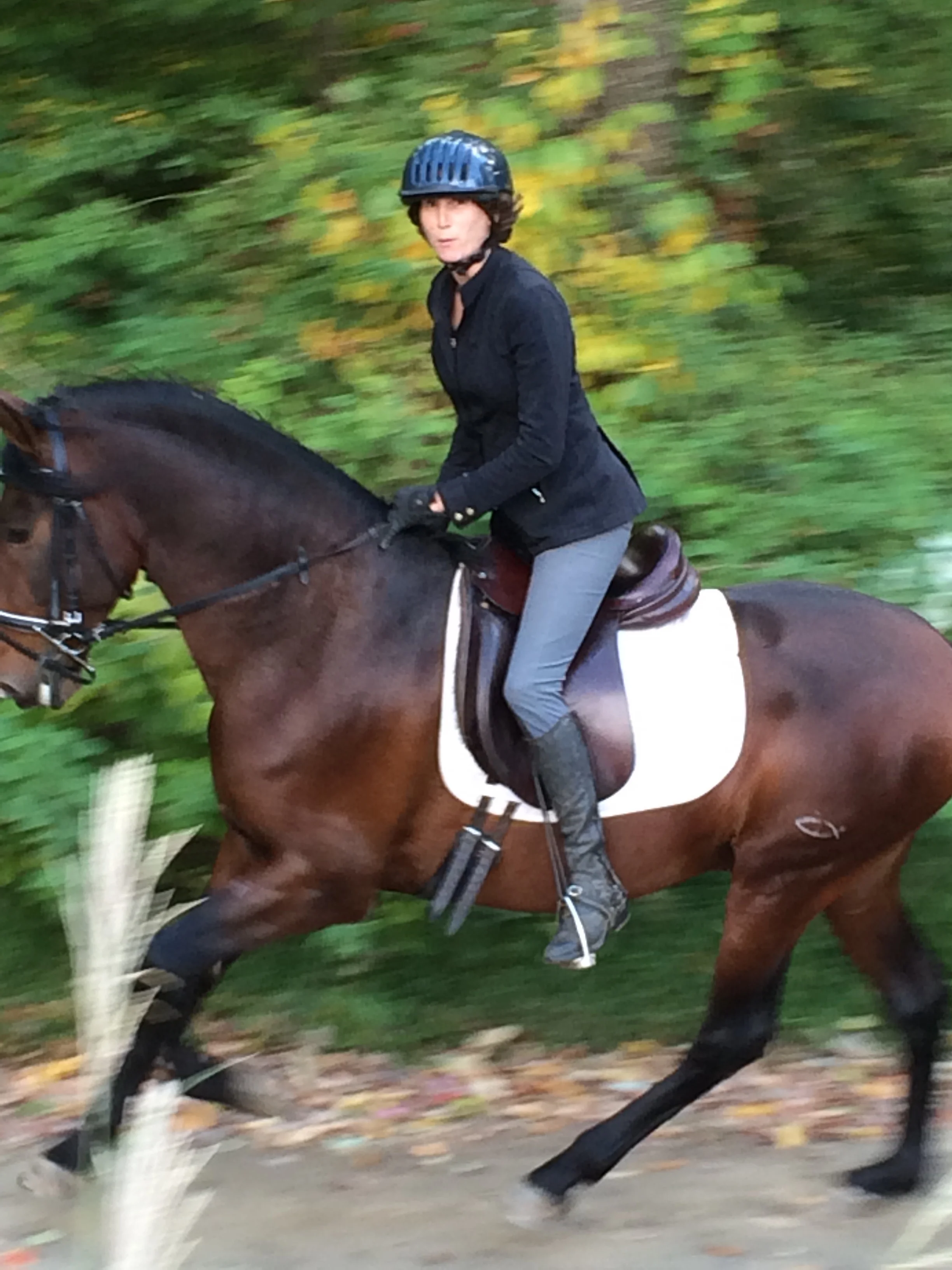Bettina Drummond riding Soledad IA