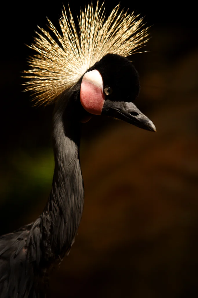 nature3.jpg