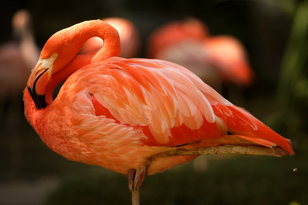 nature4.jpg