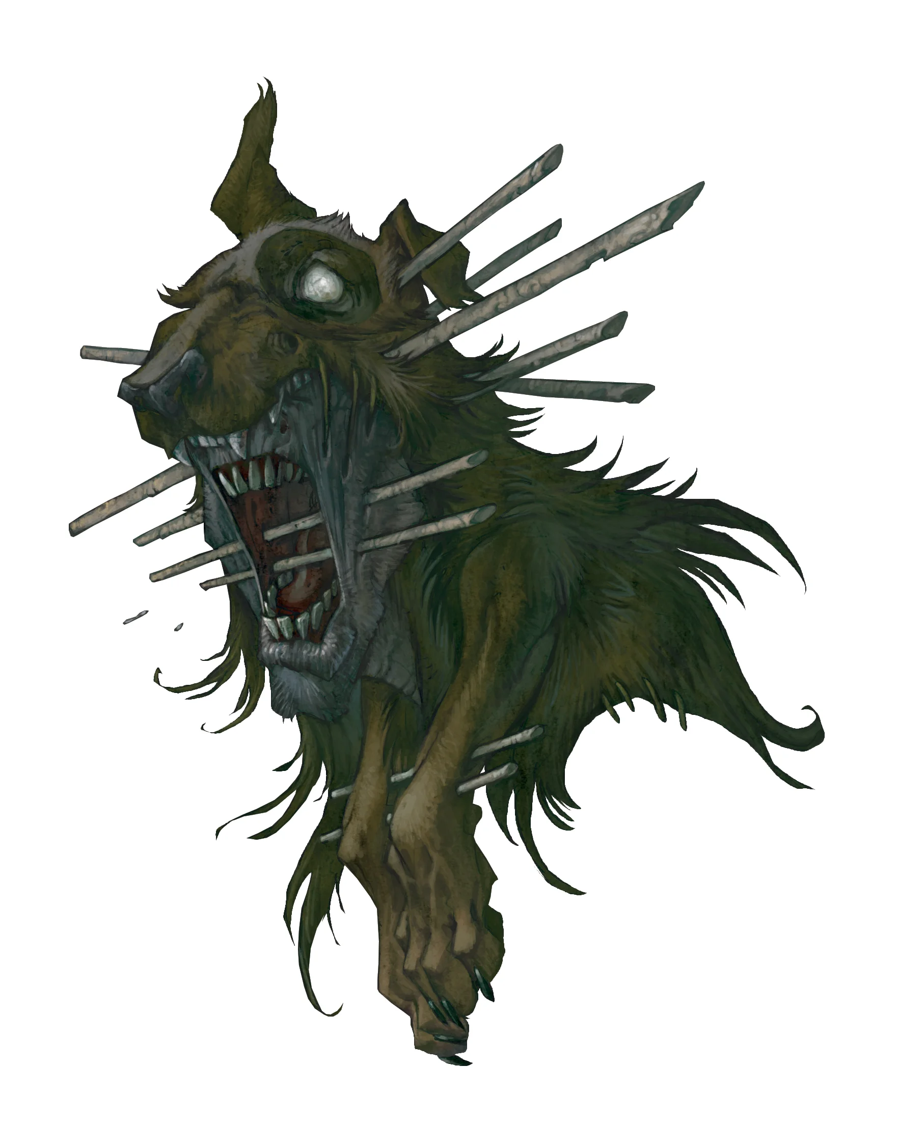 homme chien.jpg