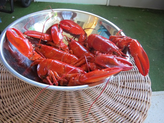 Rhode Island Lobster Fest - May