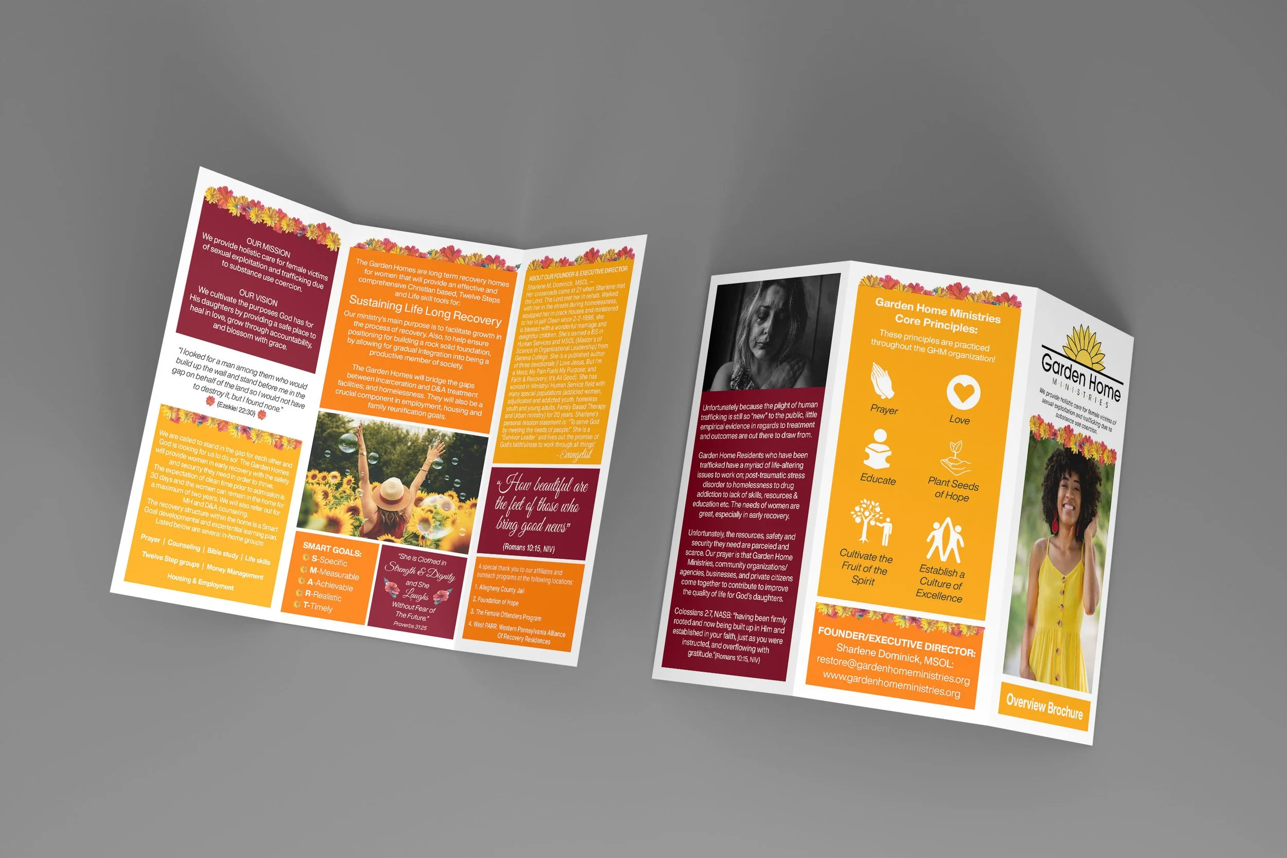 Introductory Trifold Brochure