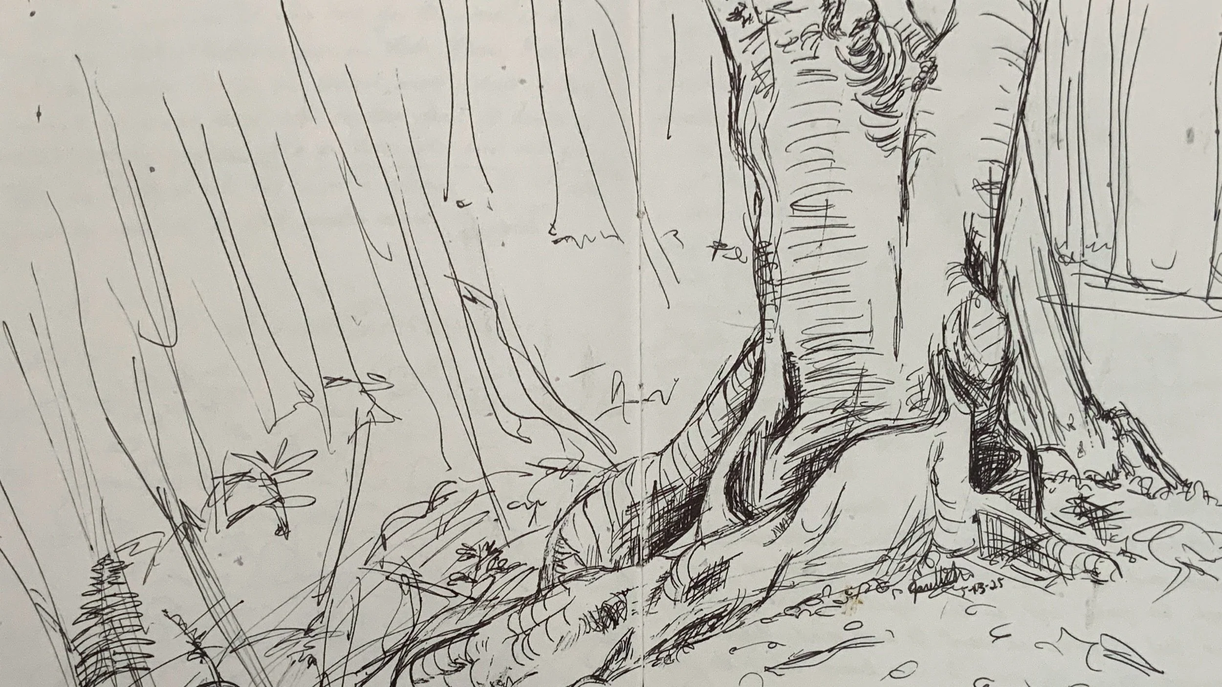 Kahakapao Trail, 2025