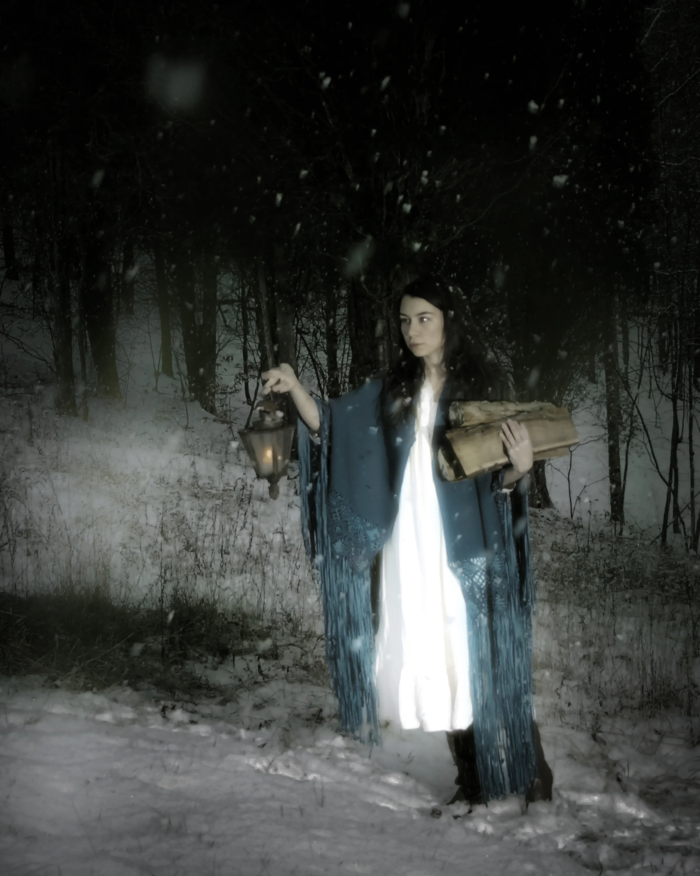 WhitneySWilliams_11_Lantern in the Snow.jpg