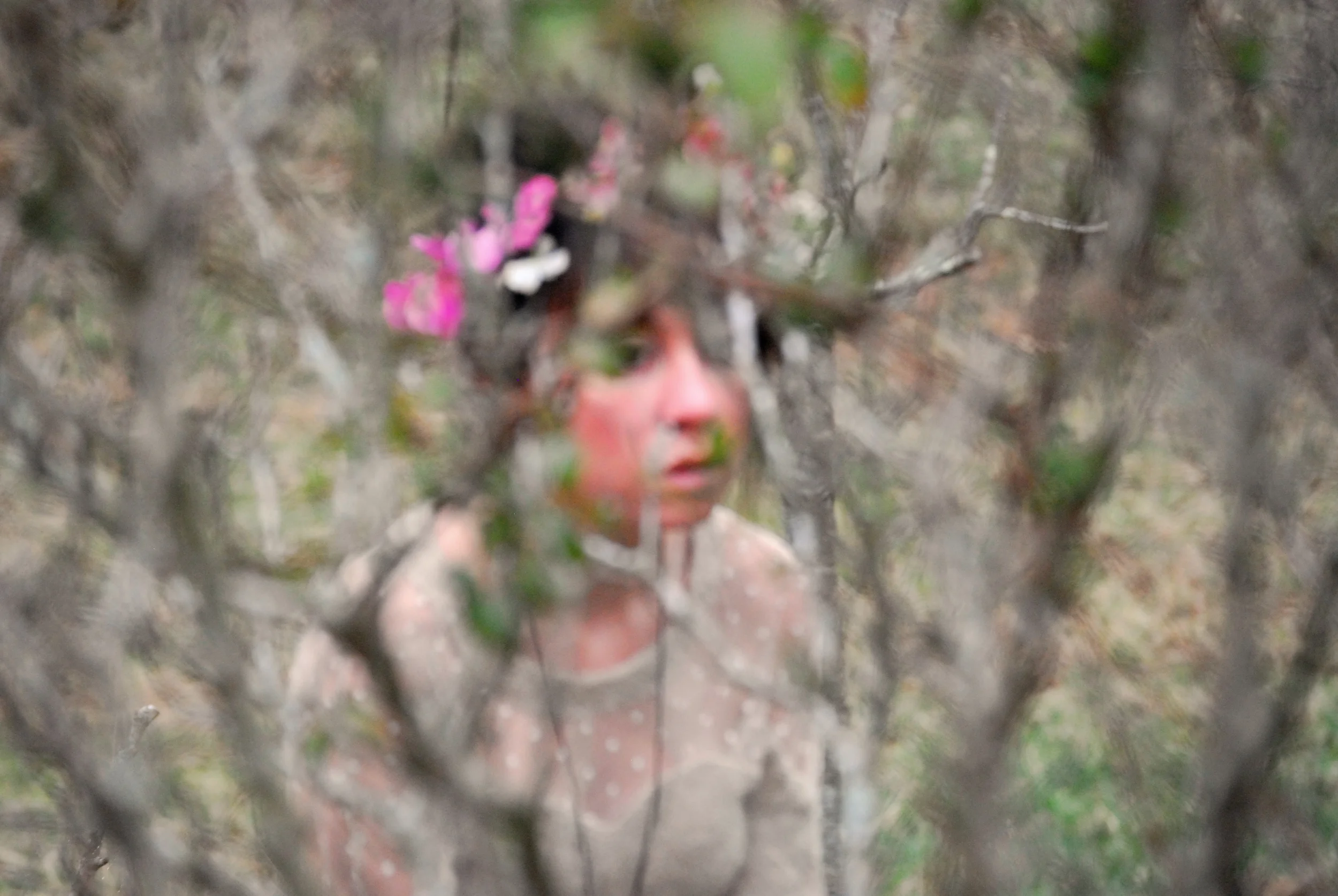 limbs_01_flickr.jpg