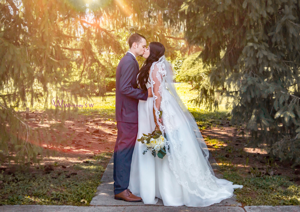 SimpsonFalinWedding_Photography by Whitney S Williams (204).jpg