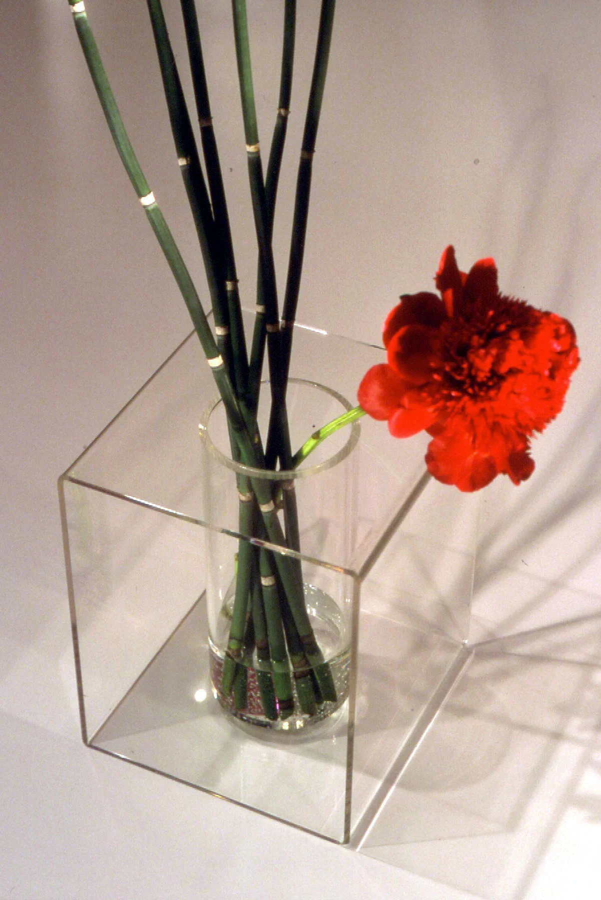 boumdesign work in progress.jpg