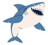 SHARK 2.jpg