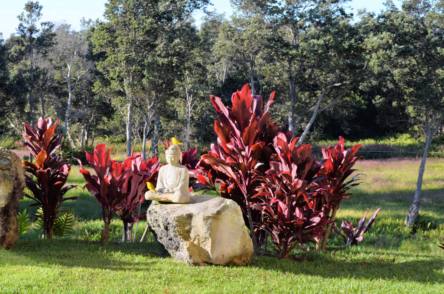 DSC_0240_lzn_web.jpg
