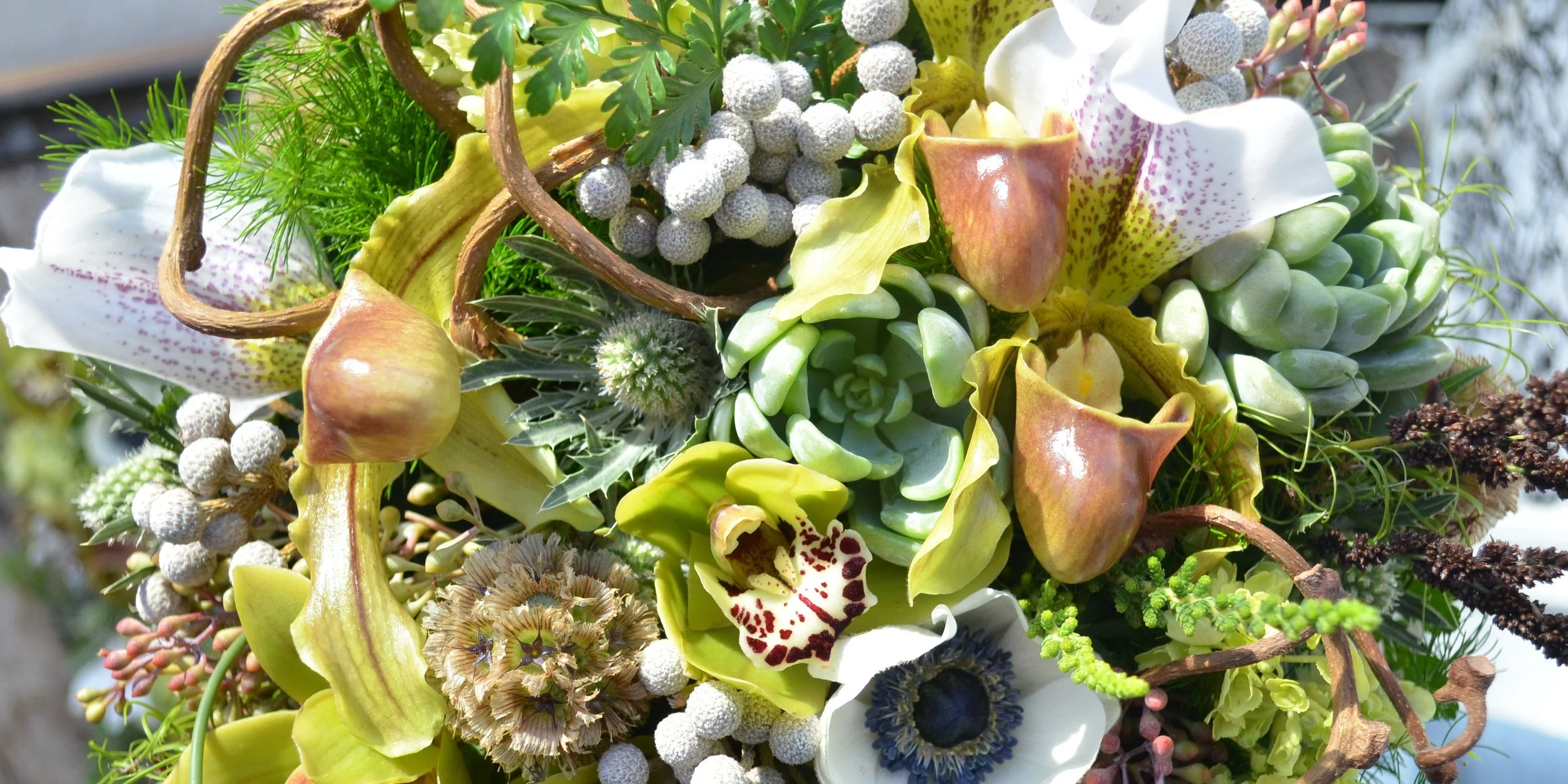 DSC_0748 - Edited.JPG