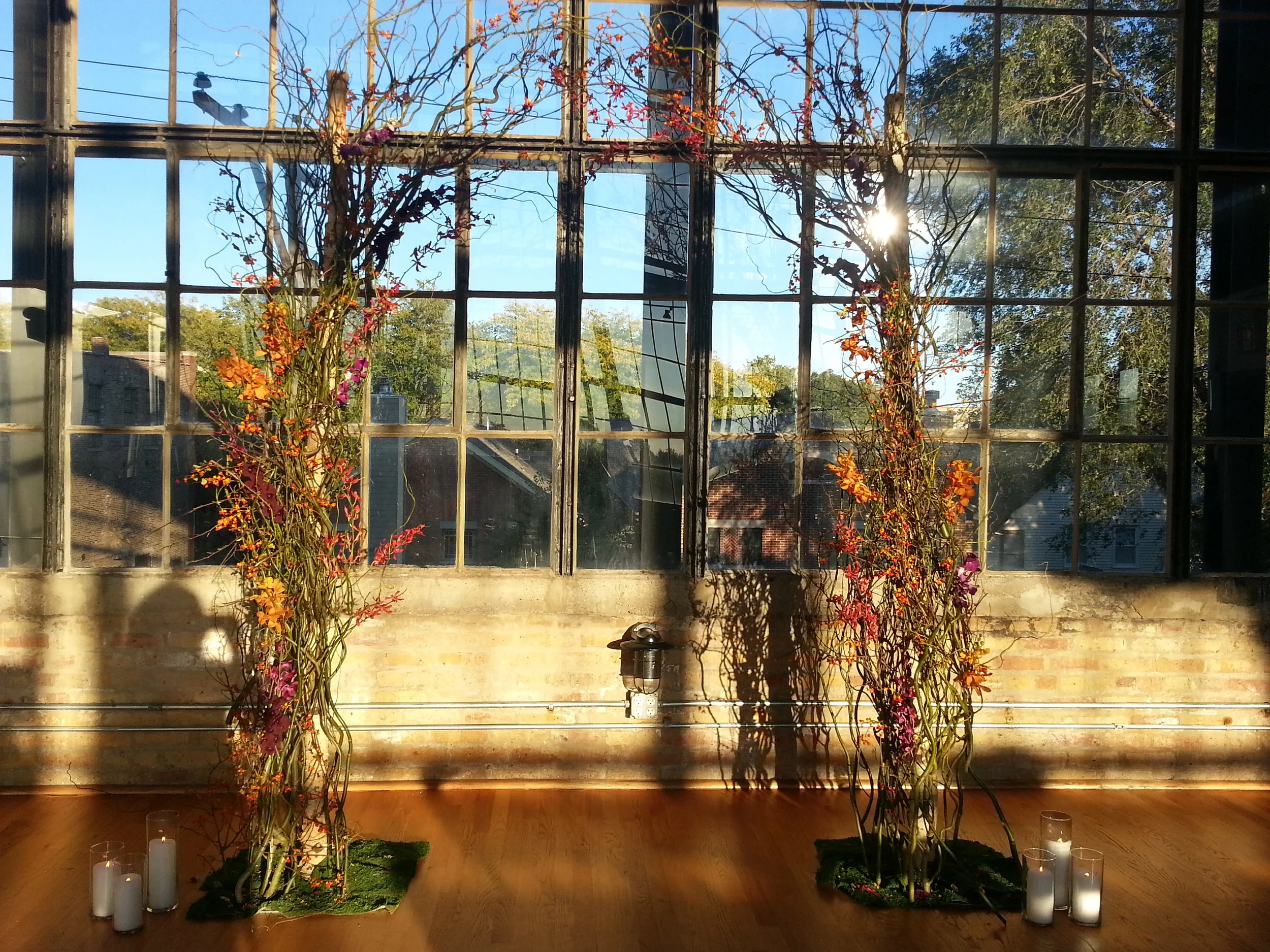 20141011_172145.jpg