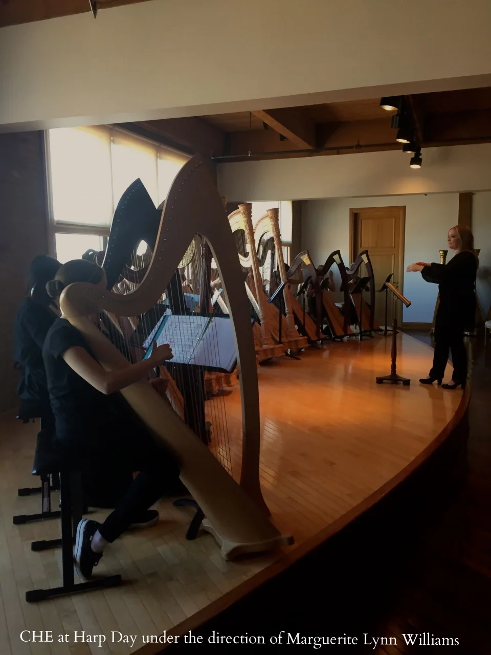 CHE at Harp Day! On Sunday, November 15th CHQ’s student ensemble, the Chicago Harp Ensemble, participated in the Harp Day member showcase concert organized by the Greater Chicago Chapter of the American Harp Society. This ensemble provides rare and valuable experience to young aspiring harpists by helping them mature into well trained and competent ensemble musicians. Know somebody that could take advantage of this great opportunity? Enrollment is now open for the spring semester!