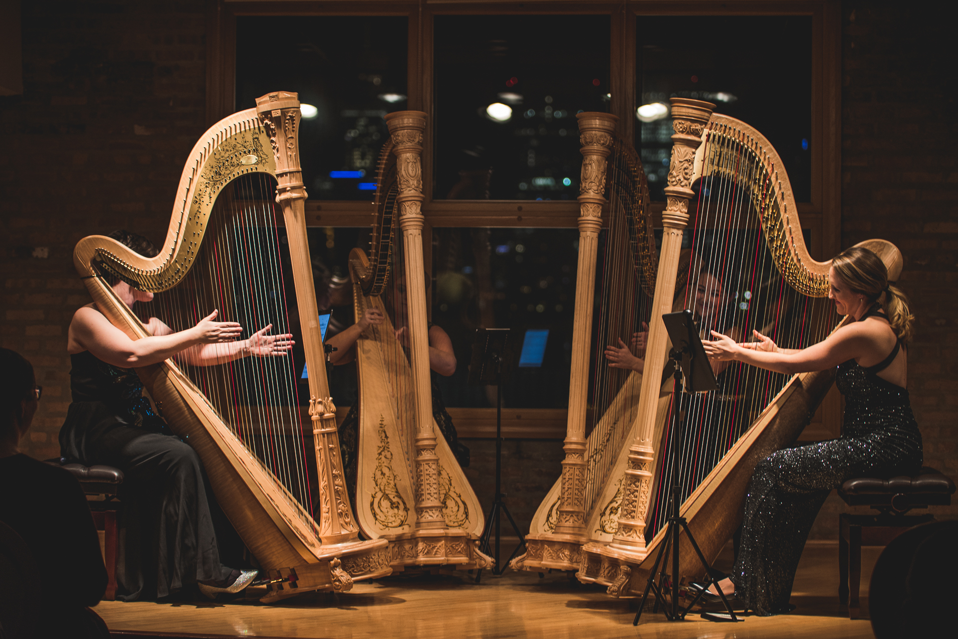 +Chicago Harp Quartet-44.jpg