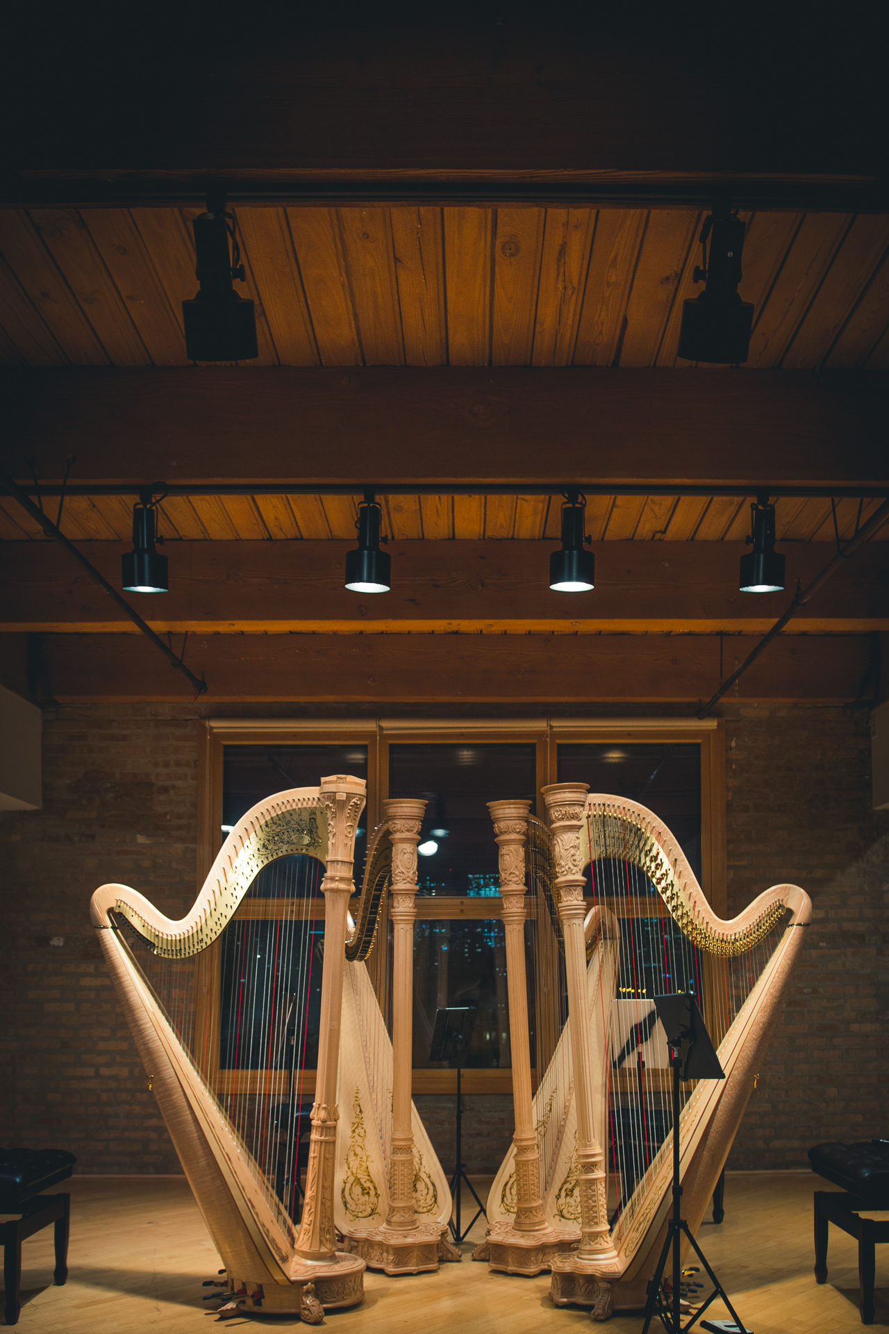 Chicago Harp Quartet-5.jpg
