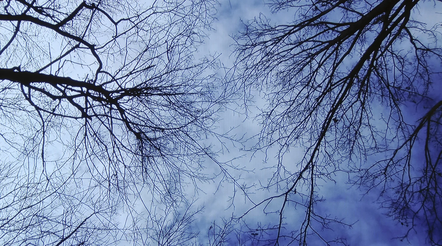 "Untitled", video still, 2009