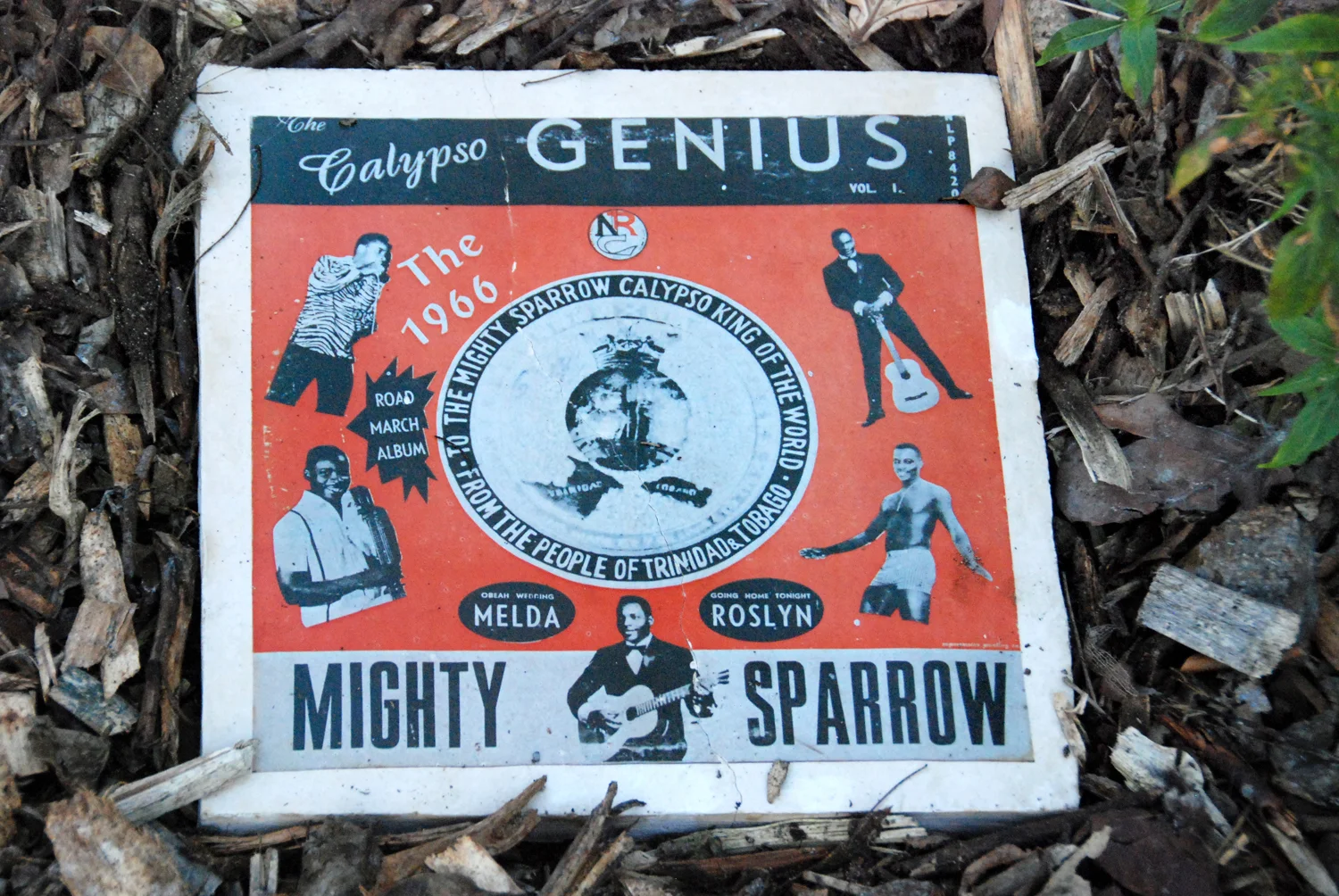 Sparrow Come Back Home - #7 individual hand-made tile, decal, 12 1-2 x12 1-2 x 1 inches, 2011.jpg