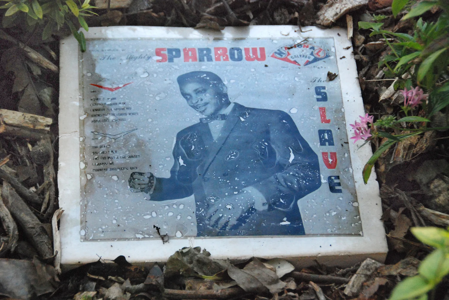 Sparrow Come Back Home - #8 individual hand-made tile, decal, 12 1-2 x12 1-2 x 1 inches, 2011.jpg