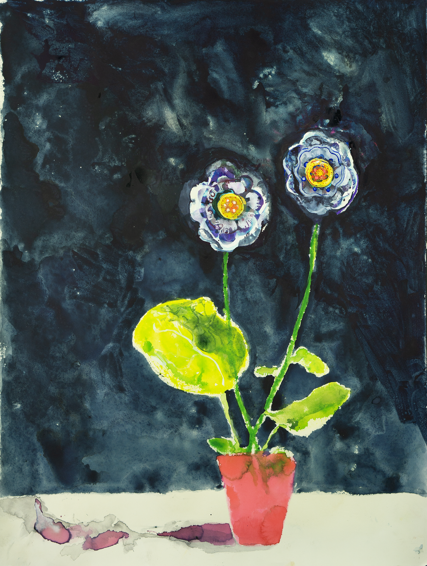 flower29.2cbs2.png