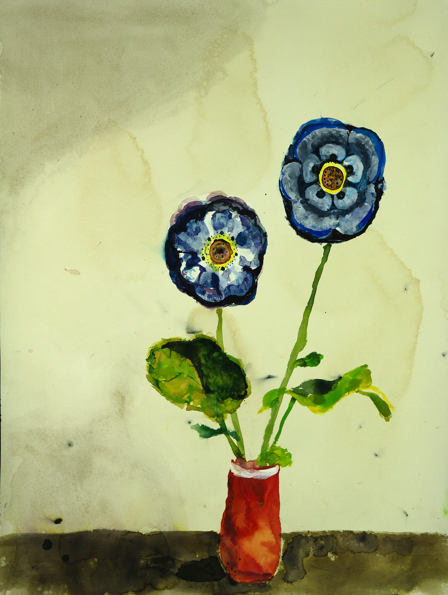 flower23cs.png