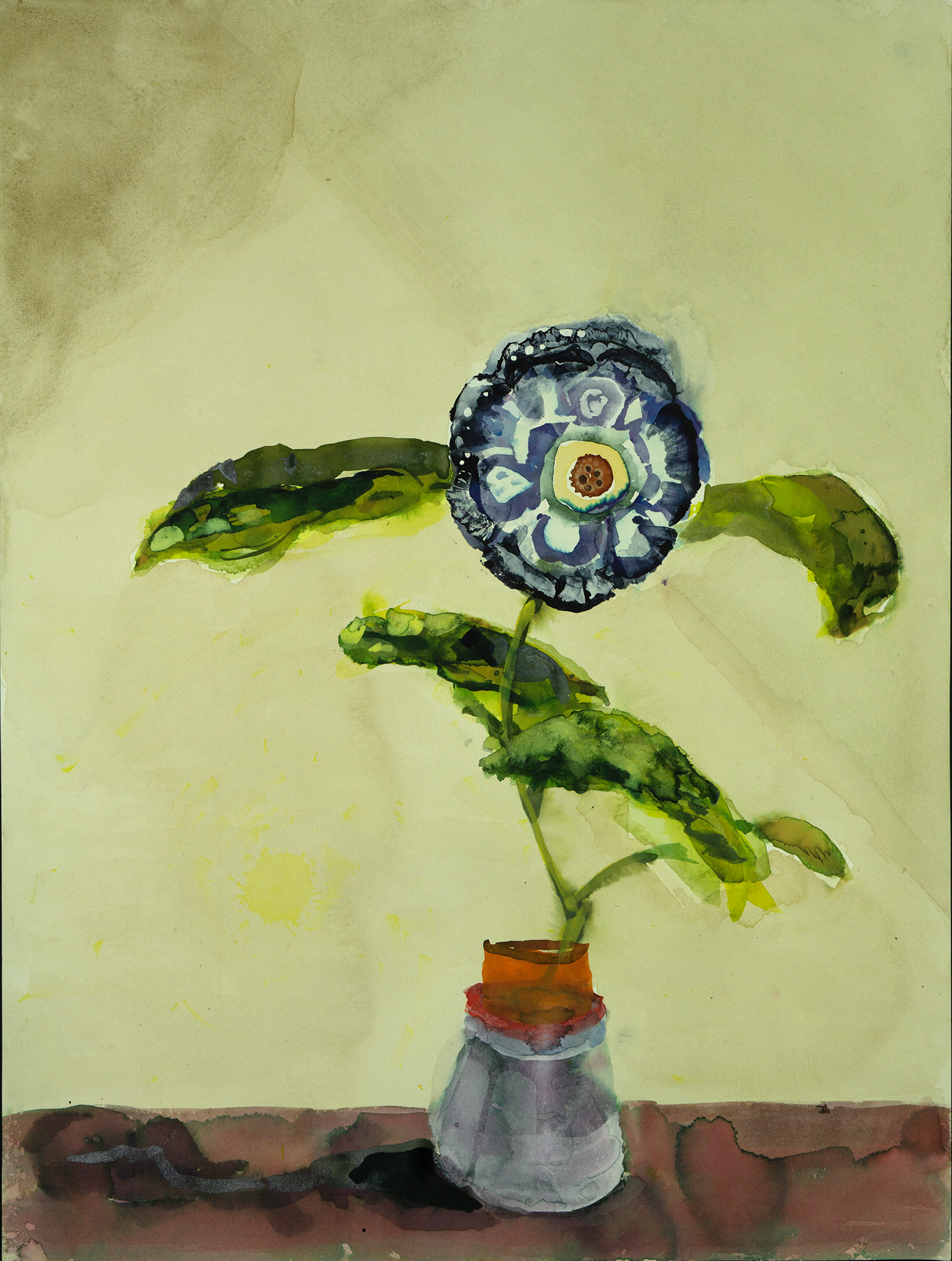flower19cs.png