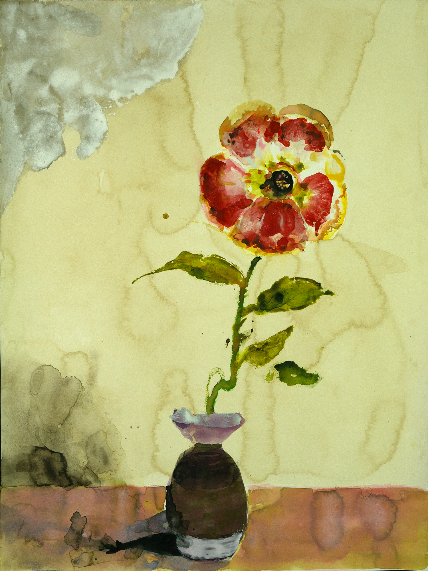 flower21cs.png