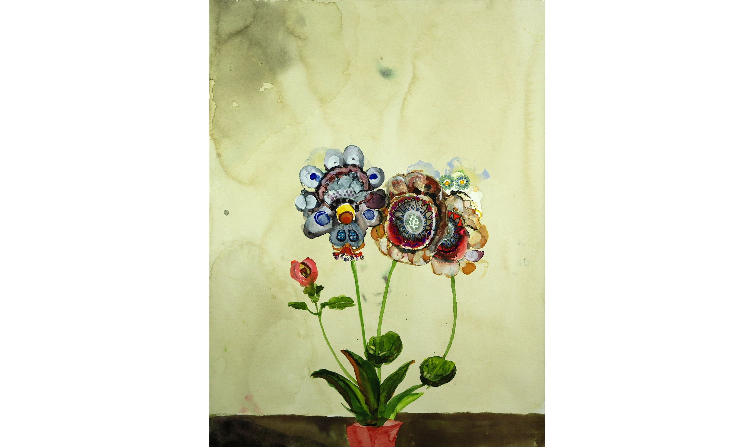 flowers34c2ssm.png