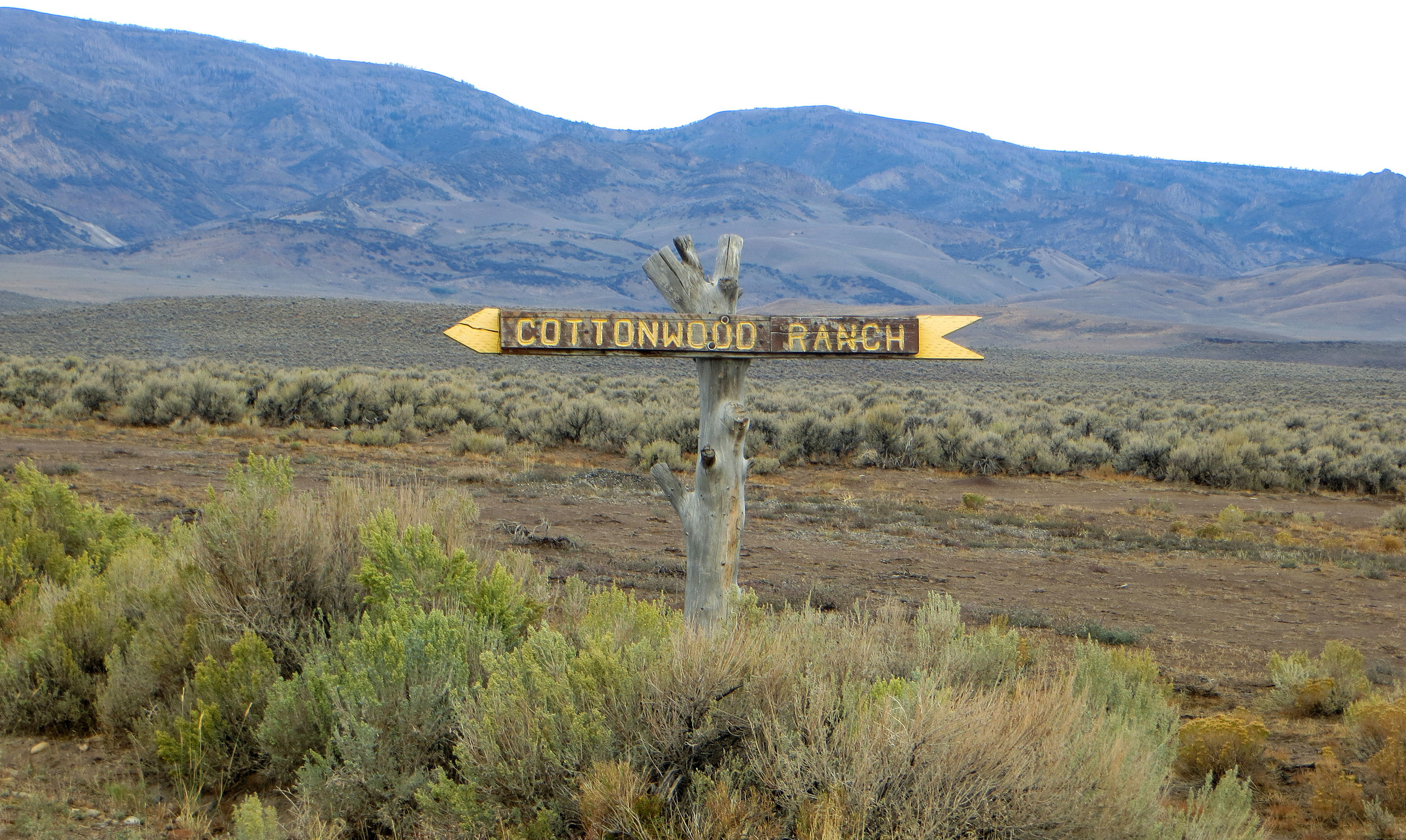Cottonwood Ranch Sign.jpg