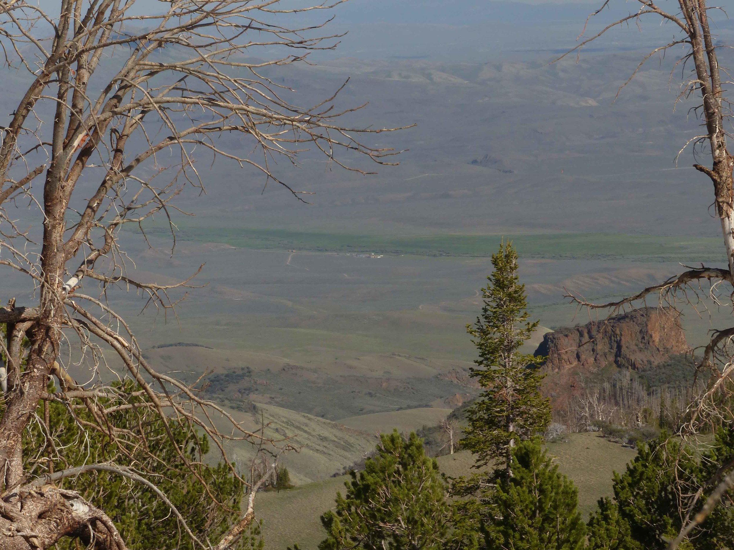 1cs P1150964 Cottonwood from mt top.jpg